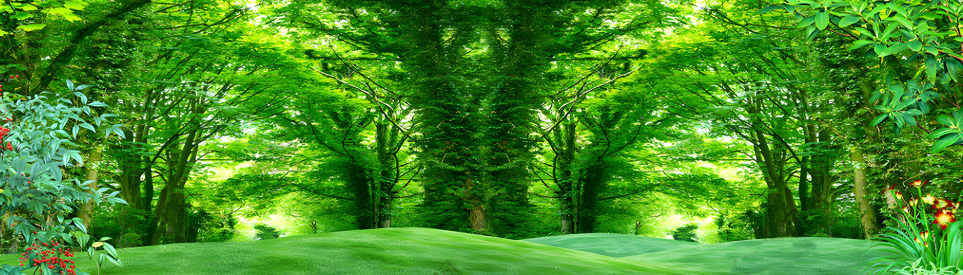 Banner 2