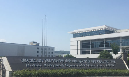 Company Building
